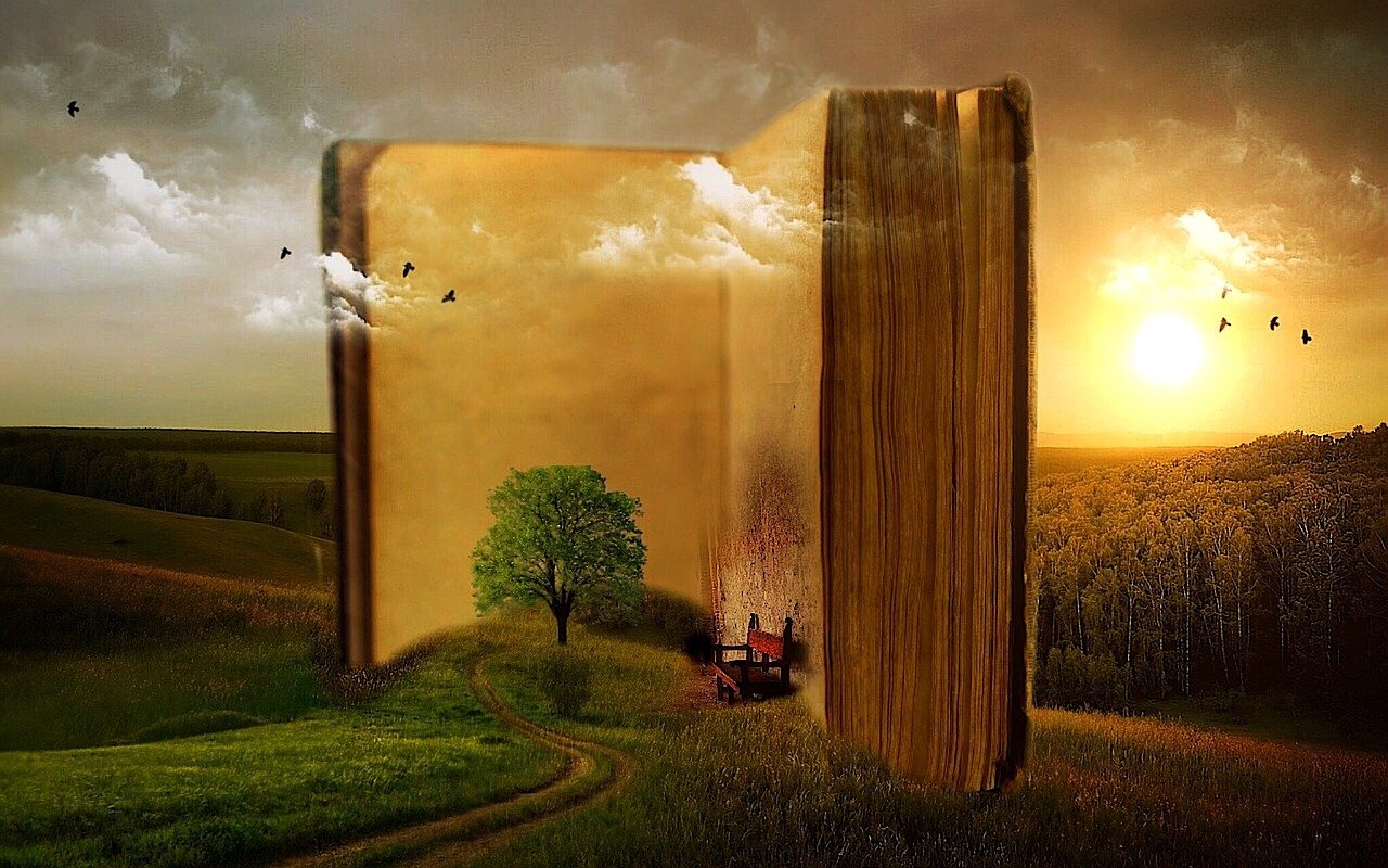 entdecken sie eine faszinierende auswahl an büchern aus verschiedenen genres. von fesselnden romanen über spannende krimis bis hin zu lehrreichen sachbüchern – finden sie ihre nächste lektüre und tauchen sie in neue welten ein.