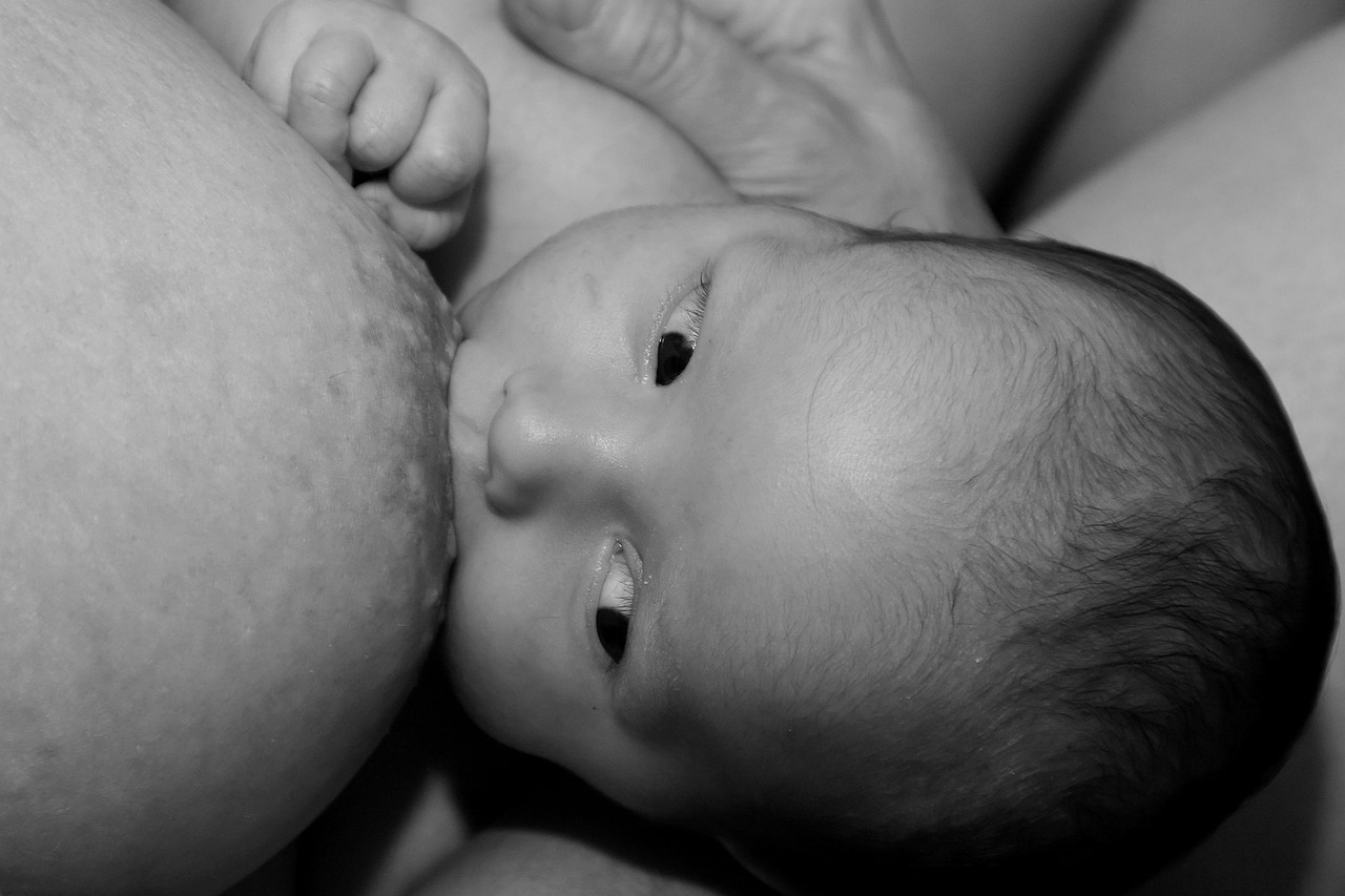 erfahren sie alles über das stillen: vorteile, techniken und tipps für mütter und babys. optimieren sie ihre stillzeit für eine gesunde entwicklung.
