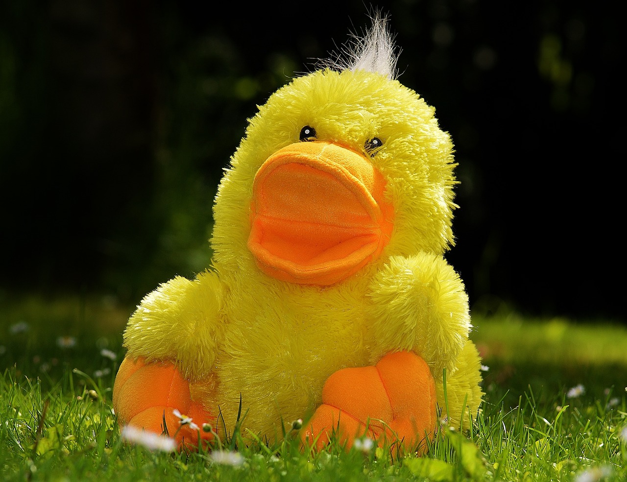 Warum sind stofftiere die besten freunde für kinder?